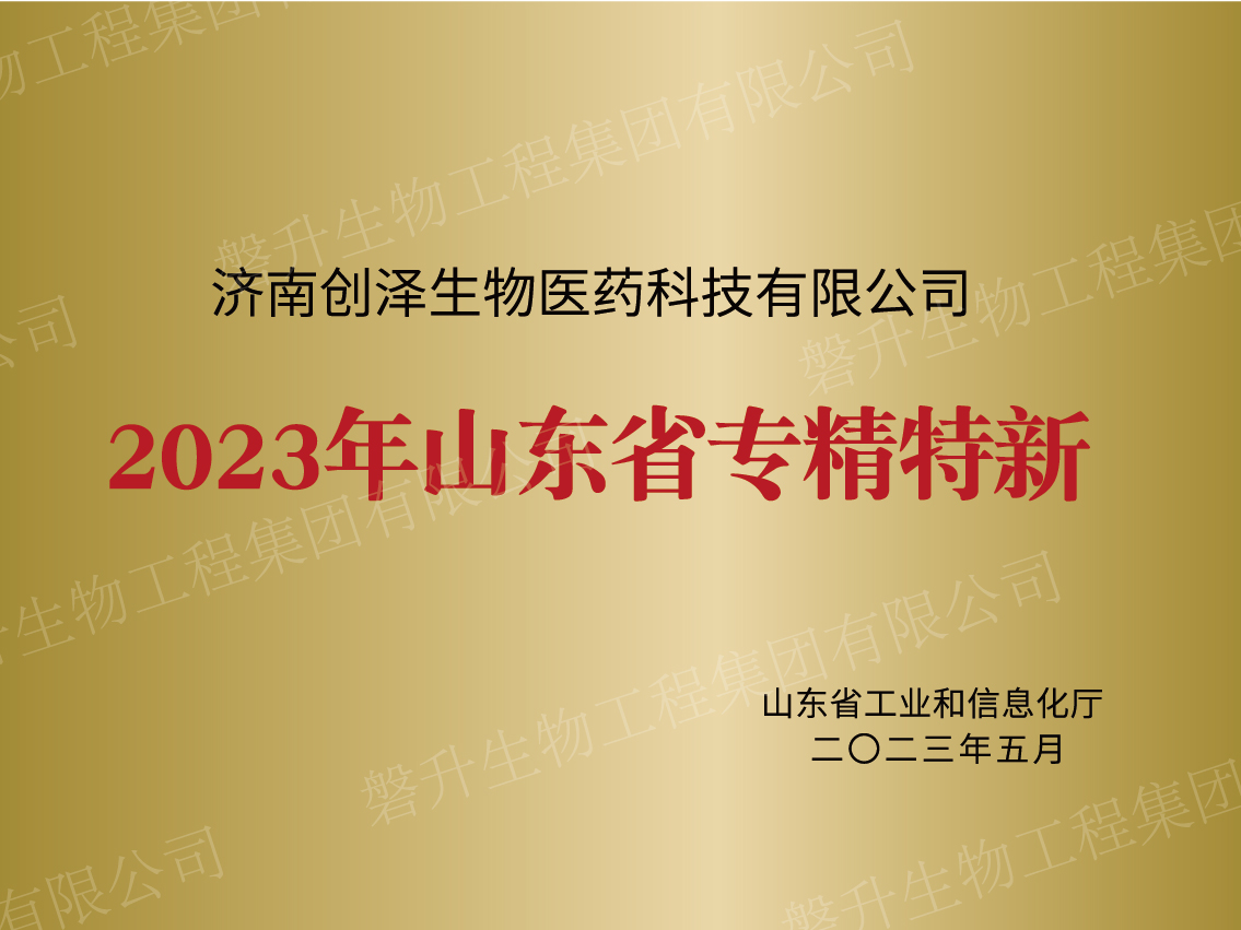 山東省專精特新