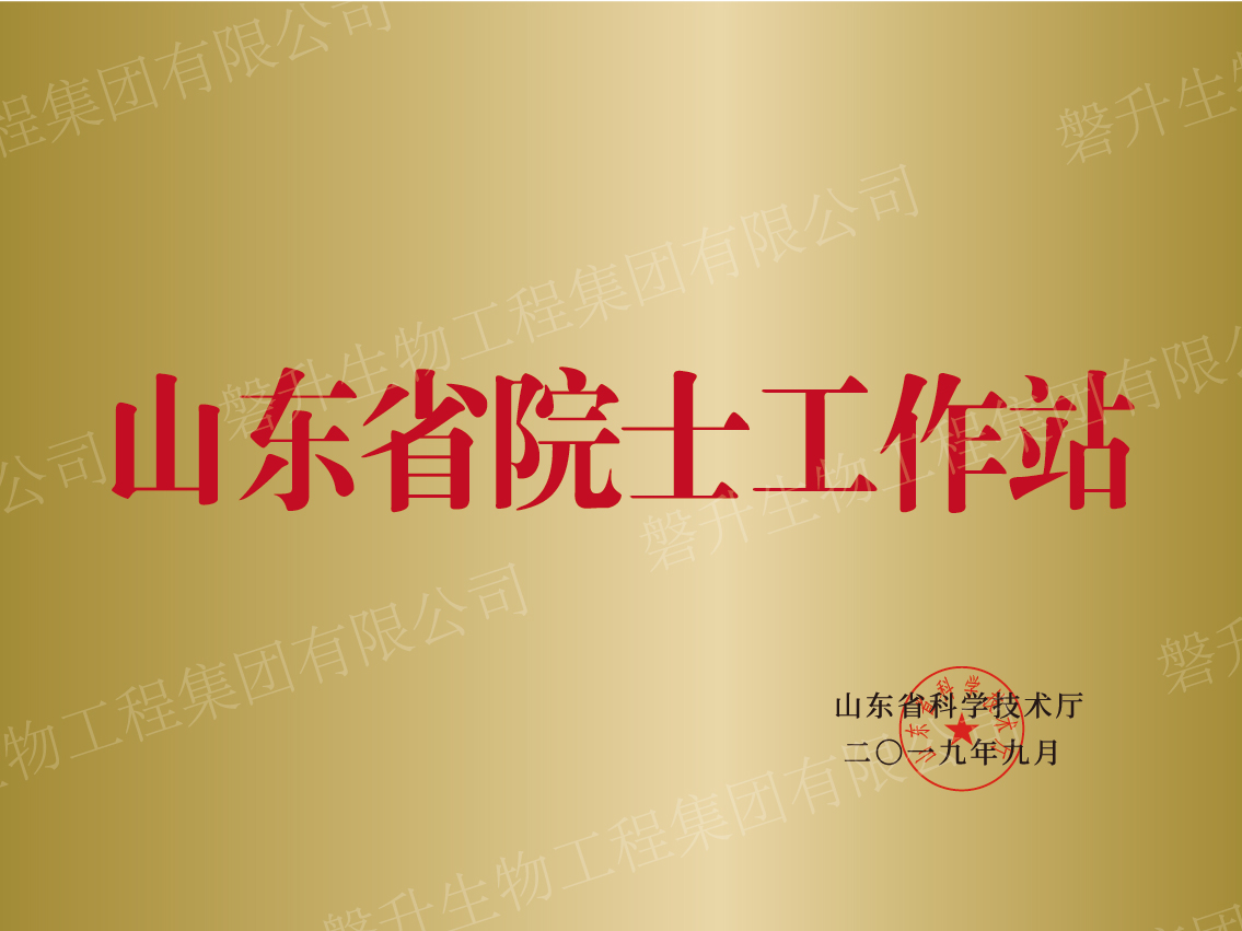 山東省院士工作站