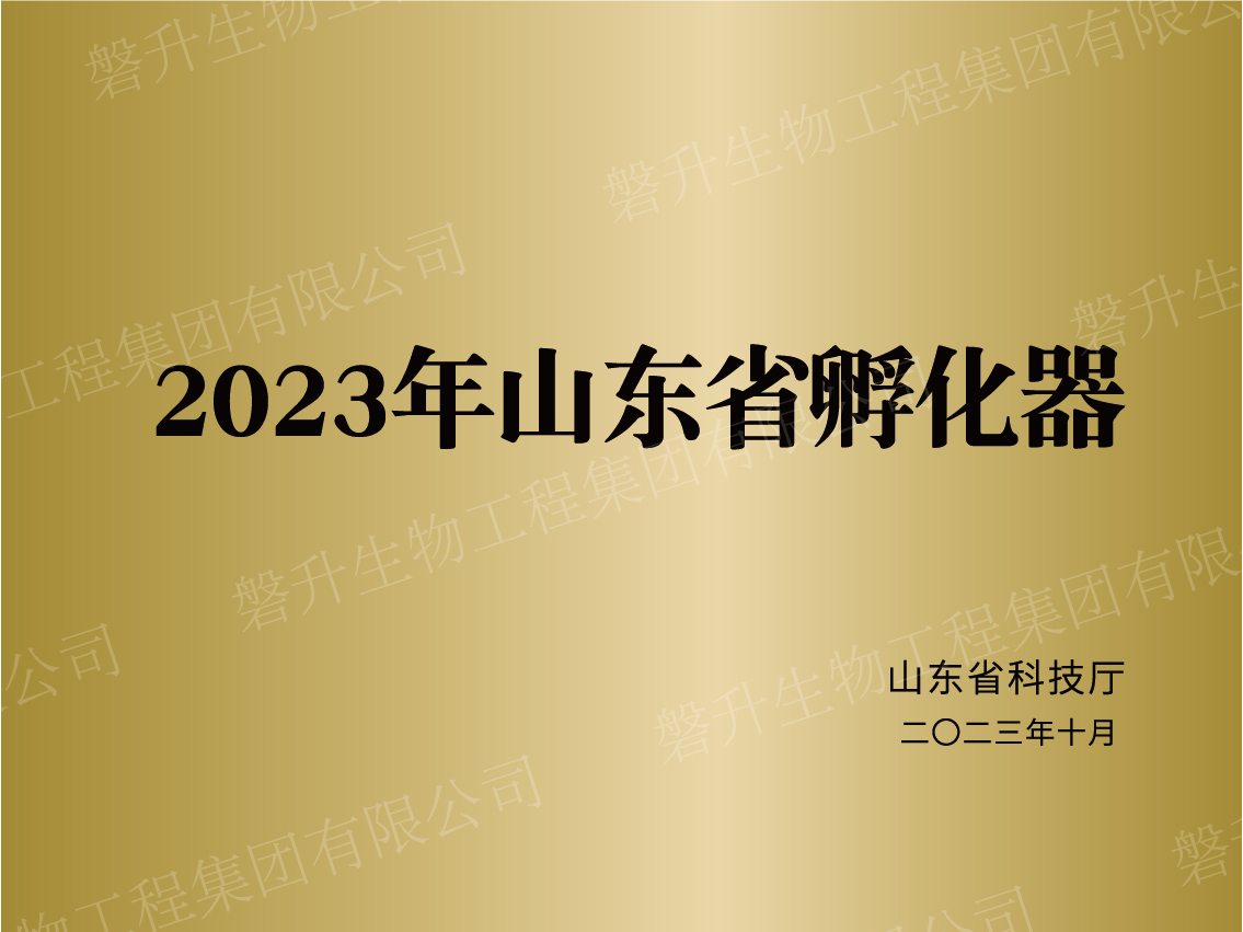 2023年山東省孵化器