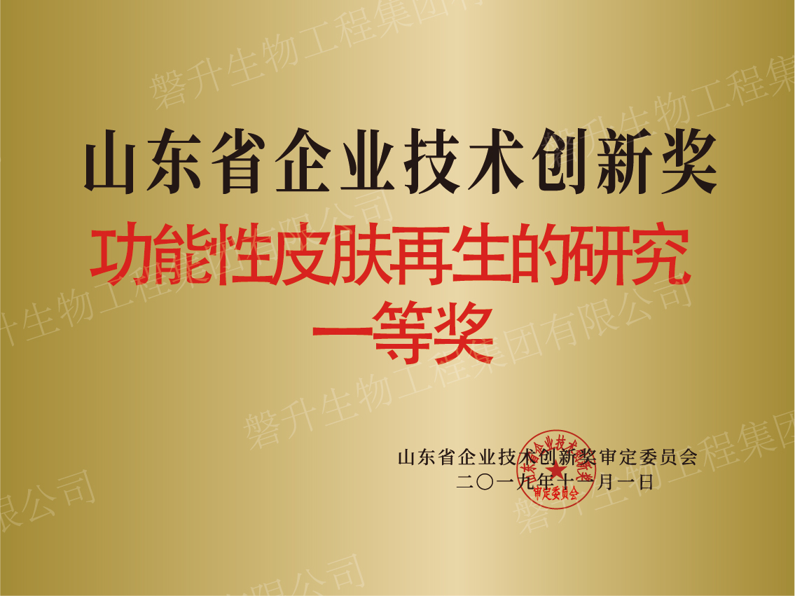 山東省企業(yè)技術(shù)創(chuàng)新獎