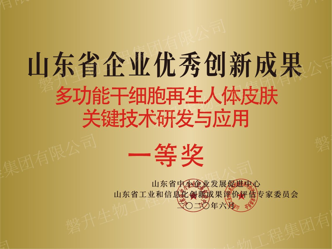 山東省企業(yè)優(yōu)秀創(chuàng)新成果