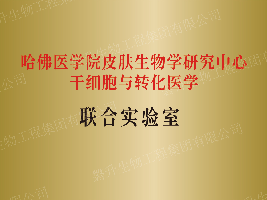 聯(lián)合實驗室