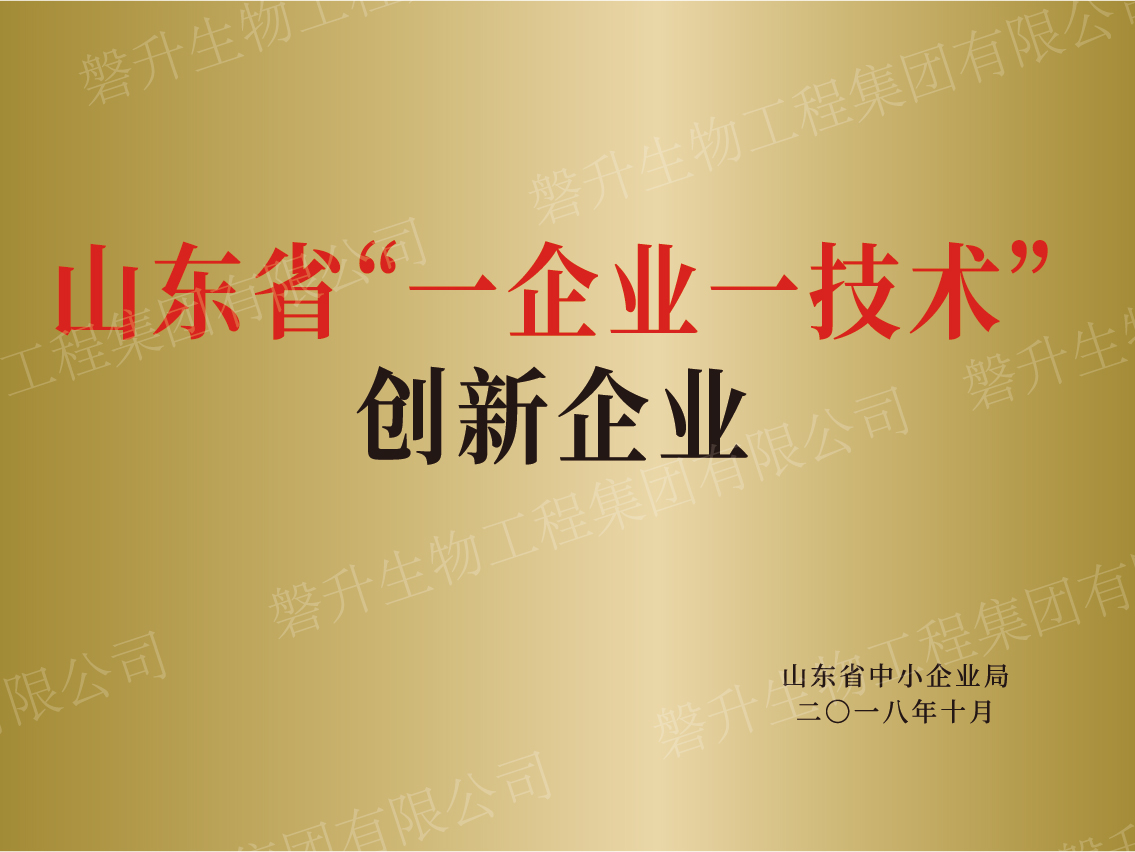 山東省“一企業(yè)一技術(shù)”創(chuàng)新企業(yè)