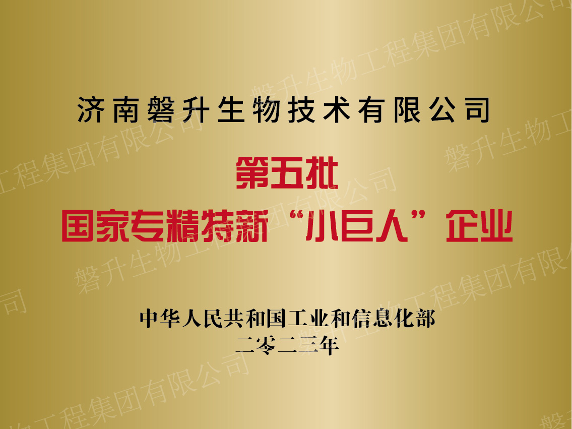 第五批國(guó)家專精特新小巨人企業(yè)