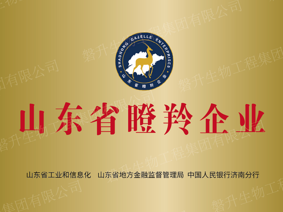 山東省瞪羚企業(yè)