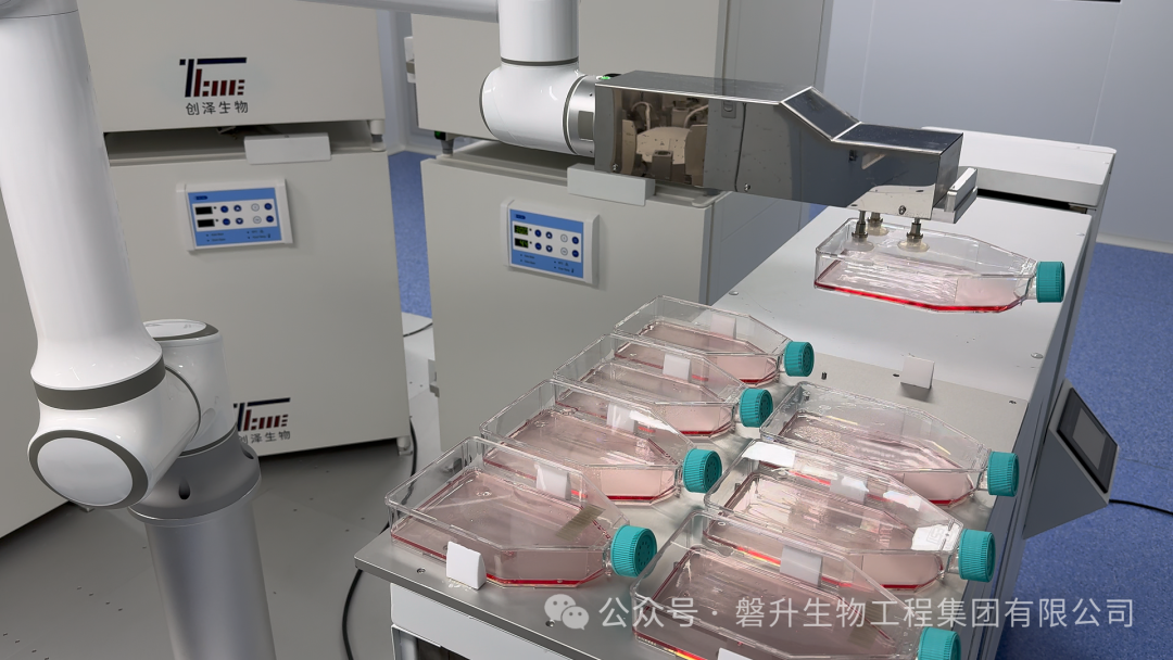 全自動深低溫自動化存儲系統(tǒng)--細(xì)胞生物產(chǎn)業(yè)化的基礎(chǔ)