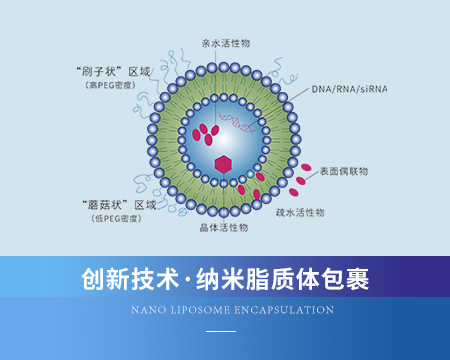 納米脂質(zhì)體包裹
