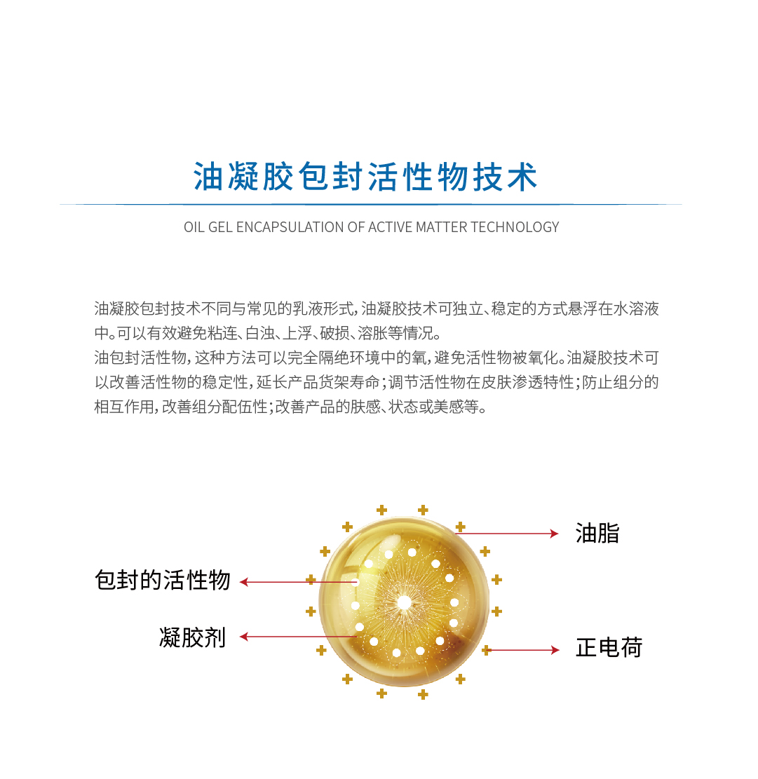 2油凝膠包封活性物2.jpg