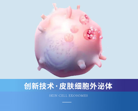 皮膚細(xì)胞外泌體
