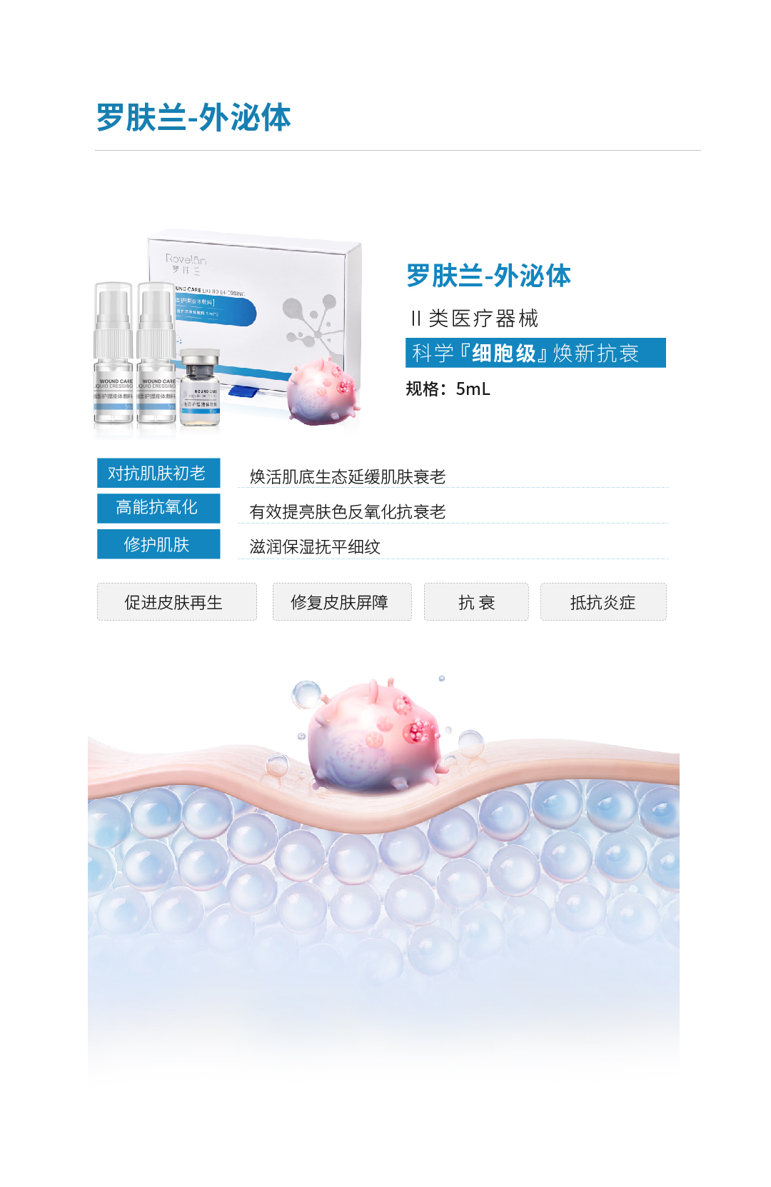 3皮膚細(xì)胞外泌體2.jpg