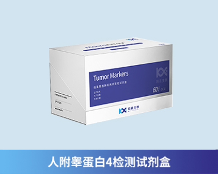 人附睪蛋白4檢測試劑盒