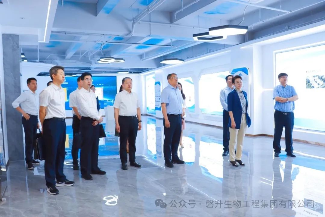 山東省副省長王桂英一行蒞臨磐升集團調(diào)研指導